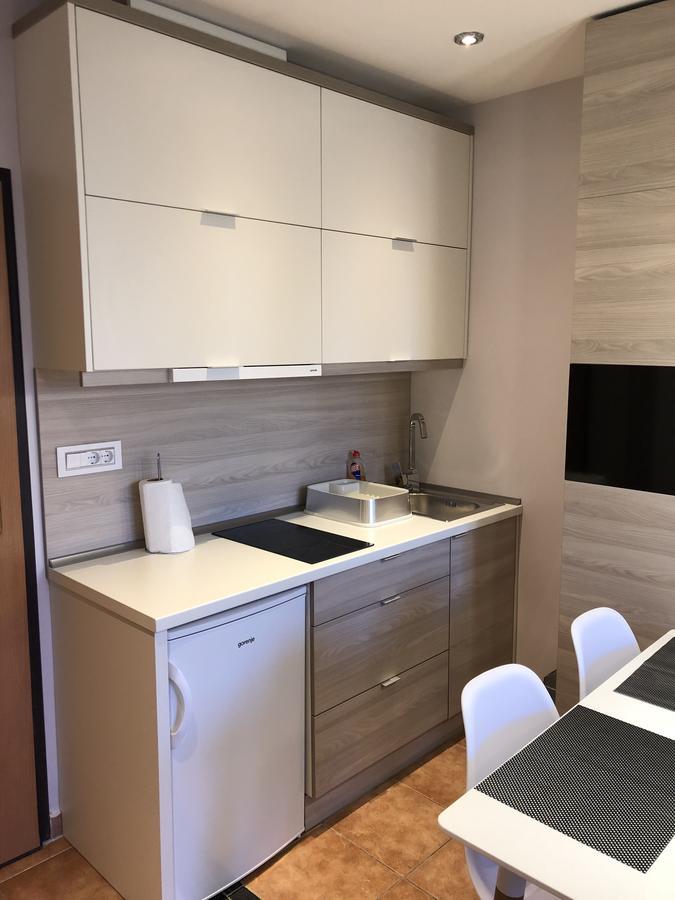 5 Stars Apartment With Free Garage Place Νόβι Σαντ Εξωτερικό φωτογραφία
